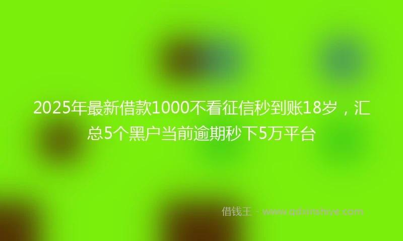 2025年最新借款1000不看征信秒到账18岁，汇总5个黑户当前逾期秒下5万平台
