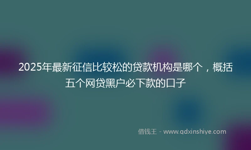 2025年最新征信比较松的贷款机构是哪个，概括五个网贷黑户必下款的口子