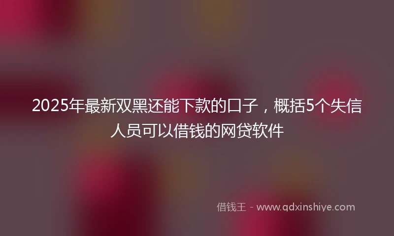 2025年最新双黑还能下款的口子，概括5个失信人员可以借钱的网贷软件
