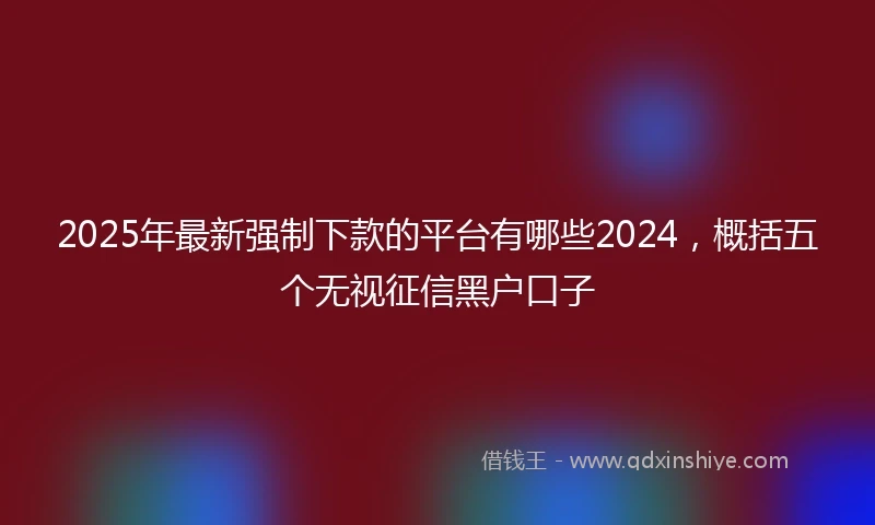 2025年最新强制下款的平台有哪些2024，概括五个无视征信黑户口子