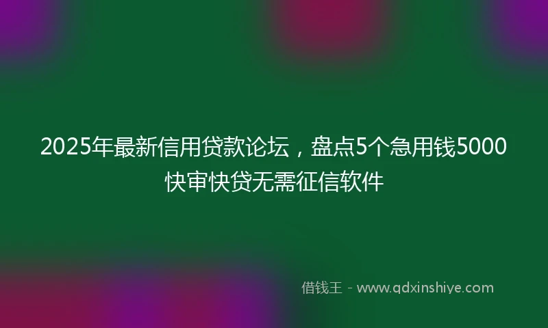 2025年最新信用贷款论坛，盘点5个急用钱5000快审快贷无需征信软件