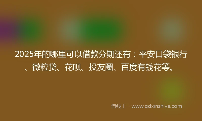 2025年的哪里可以借款分期还有：平安口袋银行、微粒贷、花呗、投友圈、百度有钱花等。