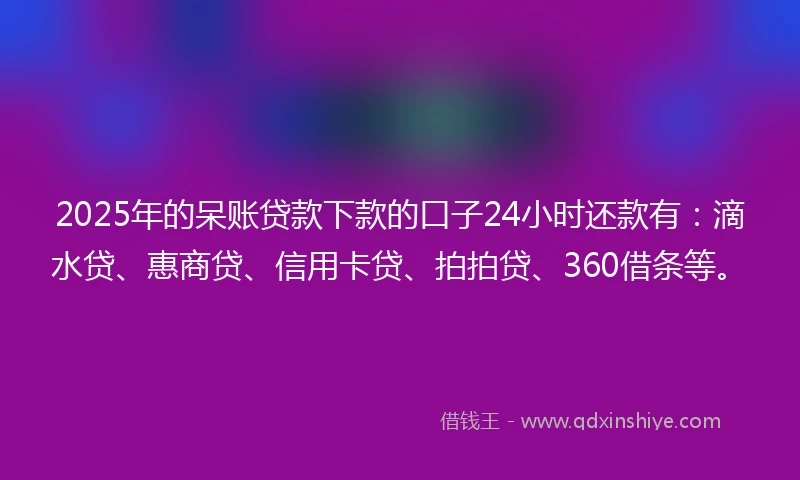 2025年的呆账贷款下款的口子24小时还款有：滴水贷、惠商贷、信用卡贷、拍拍贷、360借条等。