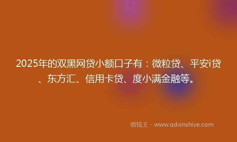 2025年的双黑网贷小额口子有：微粒贷、平安i贷、东方汇、信用卡贷、度小满金融等。