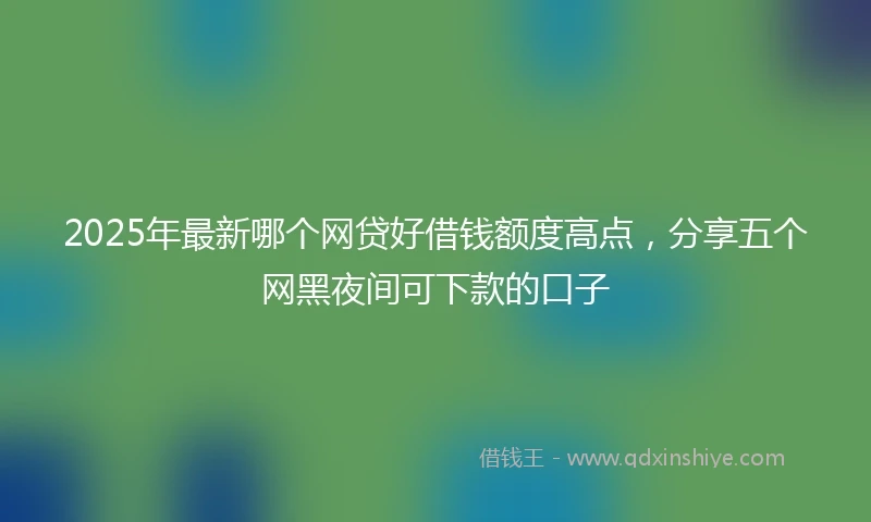 2025年最新哪个网贷好借钱额度高点，分享五个网黑夜间可下款的口子