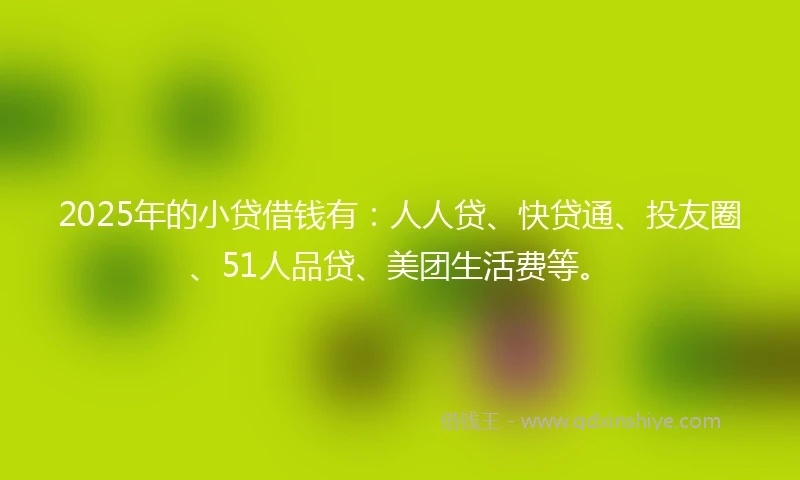 2025年的小贷借钱有：人人贷、快贷通、投友圈、51人品贷、美团生活费等。