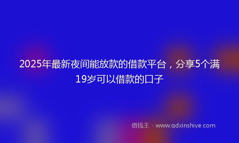 2025年最新夜间能放款的借款平台，分享5个满19岁可以借款的口子