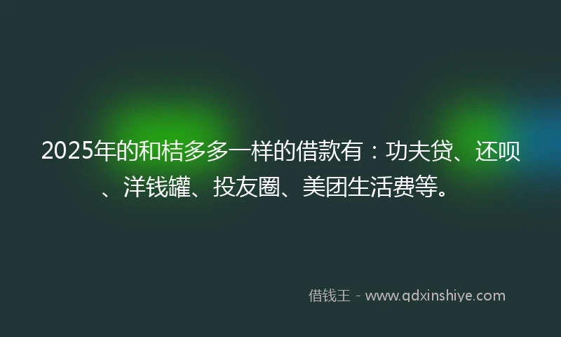 2025年的和桔多多一样的借款有：功夫贷、还呗、洋钱罐、投友圈、美团生活费等。