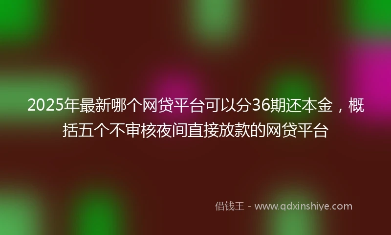 2025年最新哪个网贷平台可以分36期还本金，概括五个不审核夜间直接放款的网贷平台