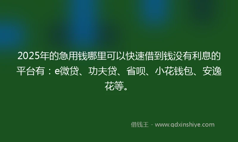 2025年的急用钱哪里可以快速借到钱没有利息的平台有：e微贷、功夫贷、省呗、小花钱包、安逸花等。
