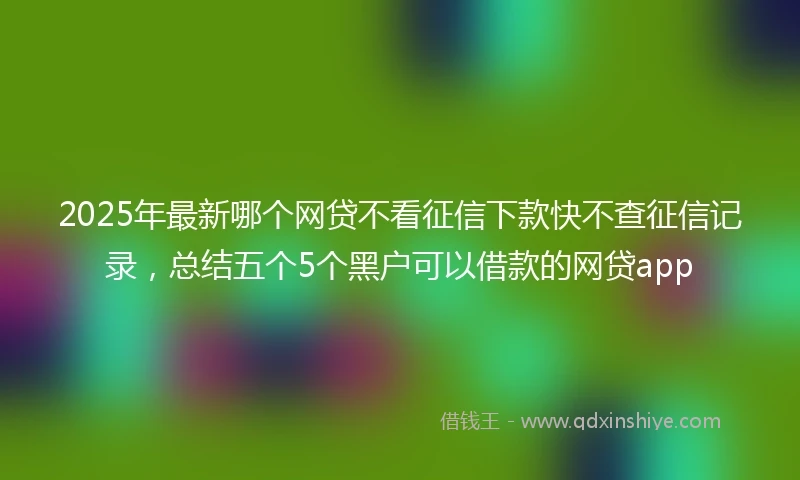 2025年最新哪个网贷不看征信下款快不查征信记录，总结五个5个黑户可以借款的网贷app