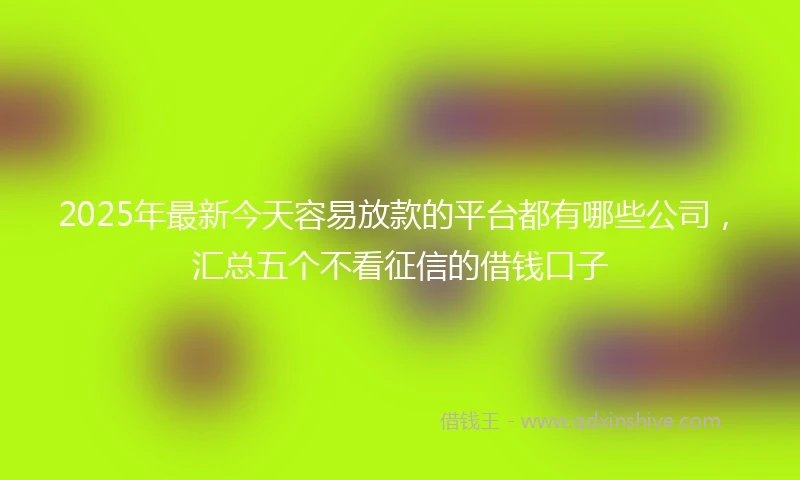 2025年最新今天容易放款的平台都有哪些公司，汇总五个不看征信的借钱口子