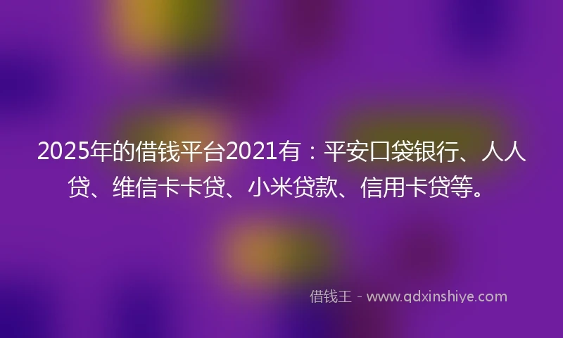 2025年的借钱平台2021有：平安口袋银行、人人贷、维信卡卡贷、小米贷款、信用卡贷等。