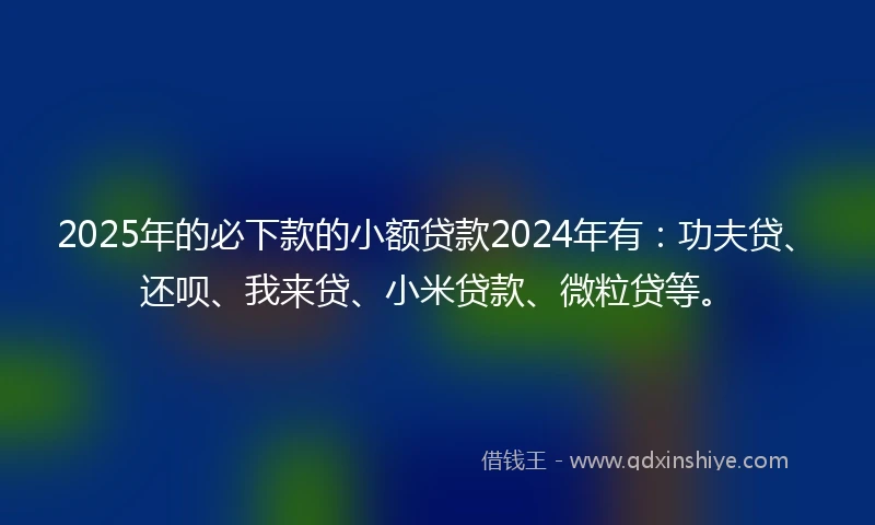 2025年的必下款的小额贷款2024年有：功夫贷、还呗、我来贷、小米贷款、微粒贷等。