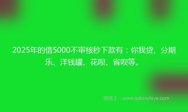 2025年的借5000不审核秒下款有：你我贷、分期乐、洋钱罐、花呗、省呗等。