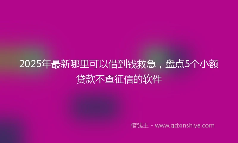 2025年最新哪里可以借到钱救急，盘点5个小额贷款不查征信的软件