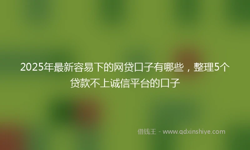 2025年最新容易下的网贷口子有哪些，整理5个贷款不上诚信平台的口子
