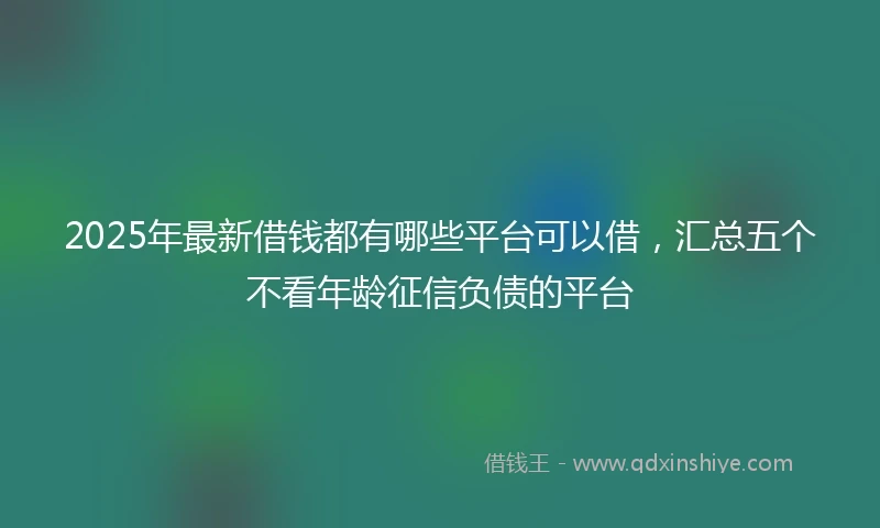 2025年最新借钱都有哪些平台可以借，汇总五个不看年龄征信负债的平台