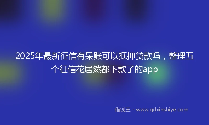 2025年最新征信有呆账可以抵押贷款吗，整理五个征信花居然都下款了的app