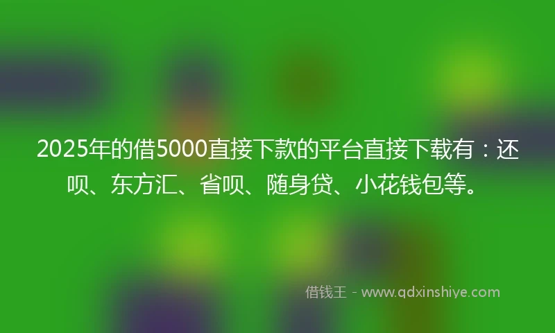 2025年的借5000直接下款的平台直接下载有：还呗、东方汇、省呗、随身贷、小花钱包等。