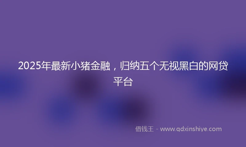 2025年最新小猪金融，归纳五个无视黑白的网贷平台