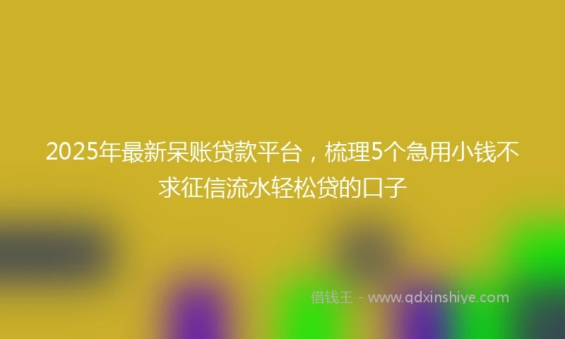 2025年最新呆账贷款平台，梳理5个急用小钱不求征信流水轻松贷的口子