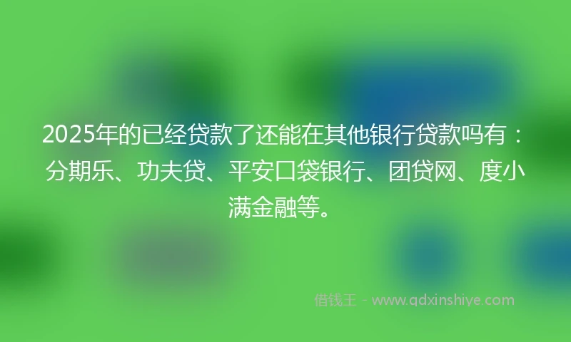 2025年的已经贷款了还能在其他银行贷款吗有：分期乐、功夫贷、平安口袋银行、团贷网、度小满金融等。