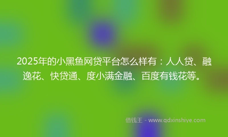 2025年的小黑鱼网贷平台怎么样有：人人贷、融逸花、快贷通、度小满金融、百度有钱花等。