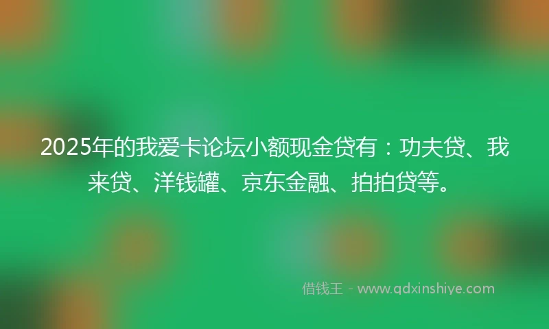 2025年的我爱卡论坛小额现金贷有：功夫贷、我来贷、洋钱罐、京东金融、拍拍贷等。