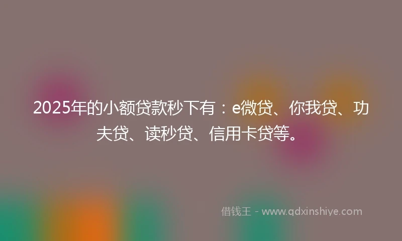 2025年的小额贷款秒下有：e微贷、你我贷、功夫贷、读秒贷、信用卡贷等。