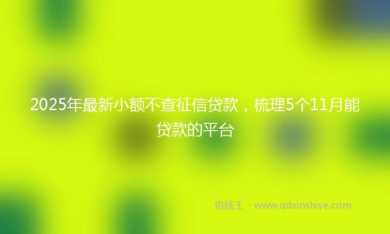 2025年最新小额不查征信贷款，梳理5个11月能贷款的平台