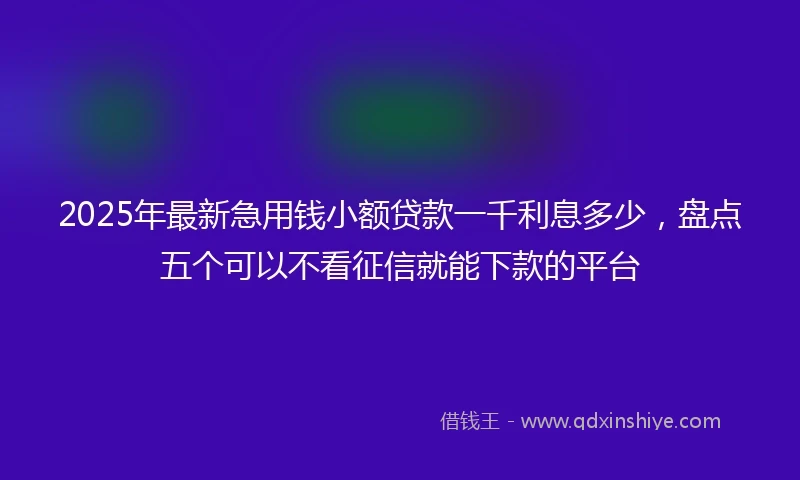 2025年最新急用钱小额贷款一千利息多少，盘点五个可以不看征信就能下款的平台