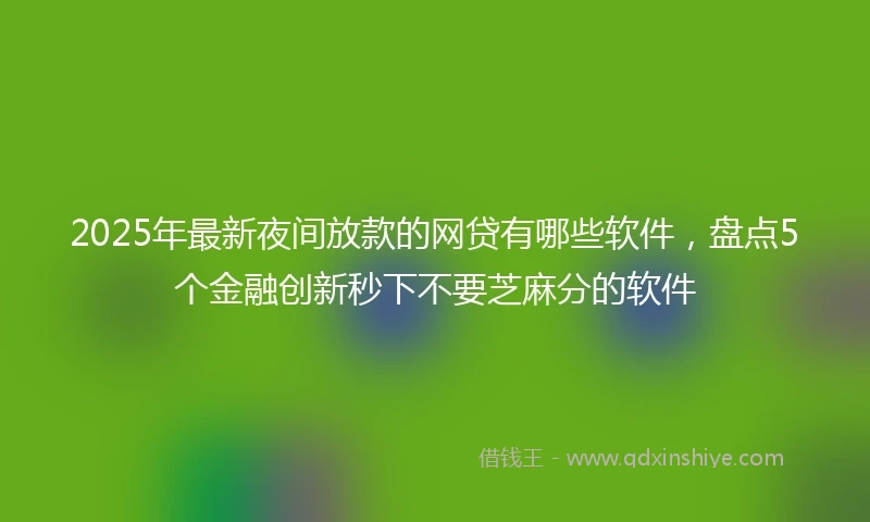 2025年最新夜间放款的网贷有哪些软件，盘点5个金融创新秒下不要芝麻分的软件