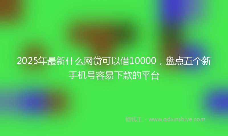 2025年最新什么网贷可以借10000，盘点五个新手机号容易下款的平台