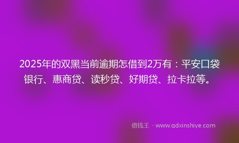 2025年的双黑当前逾期怎借到2万有：平安口袋银行、惠商贷、读秒贷、好期贷、拉卡拉等。