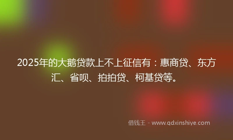 2025年的大鹅贷款上不上征信有：惠商贷、东方汇、省呗、拍拍贷、柯基贷等。