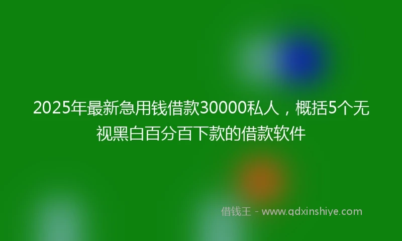 2025年最新急用钱借款30000私人，概括5个无视黑白百分百下款的借款软件