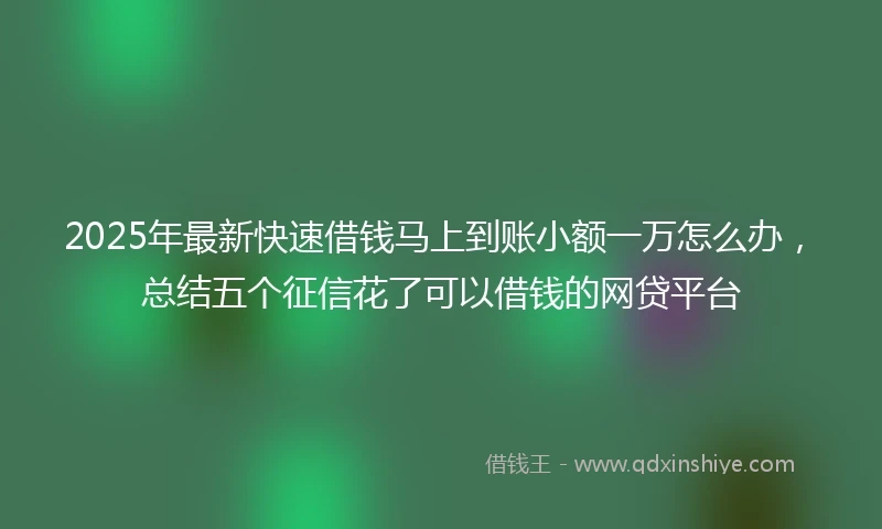 2025年最新快速借钱马上到账小额一万怎么办，总结五个征信花了可以借钱的网贷平台