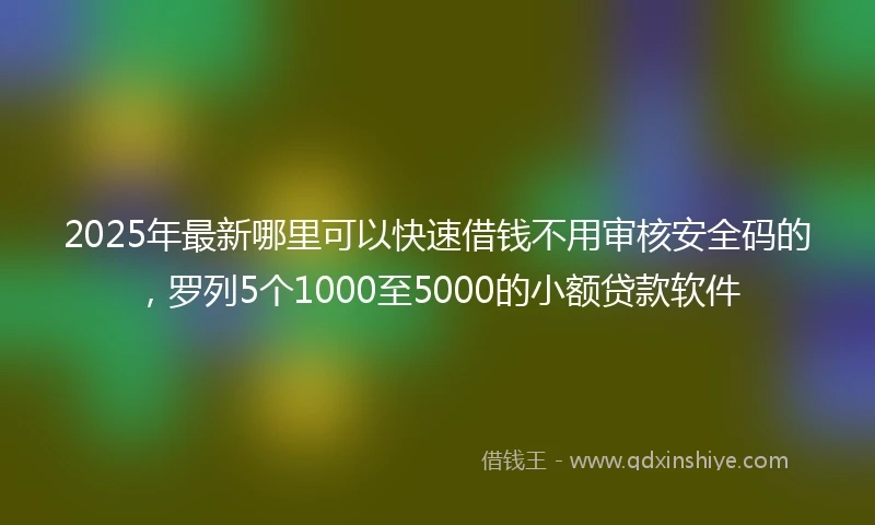 2025年最新哪里可以快速借钱不用审核安全码的，罗列5个1000至5000的小额贷款软件