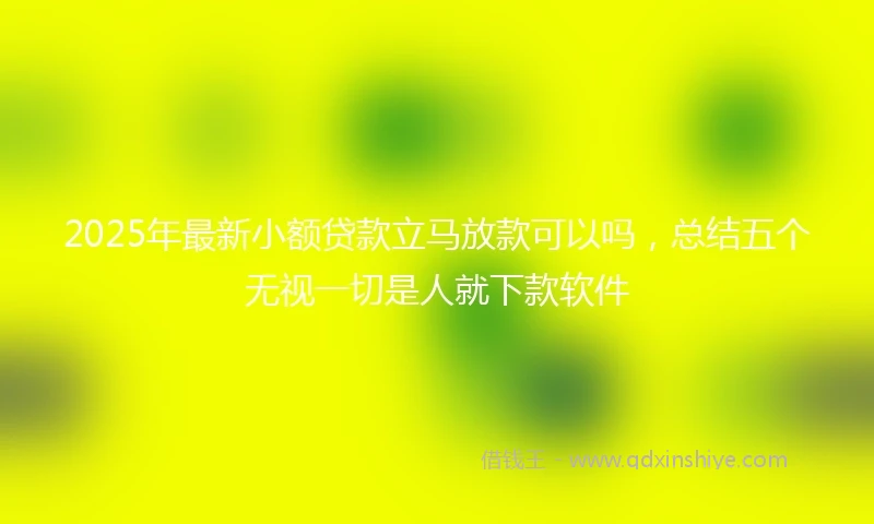 2025年最新小额贷款立马放款可以吗，总结五个无视一切是人就下款软件