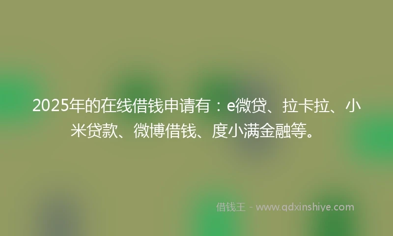 2025年的在线借钱申请有：e微贷、拉卡拉、小米贷款、微博借钱、度小满金融等。