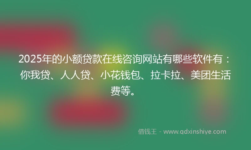 2025年的小额贷款在线咨询网站有哪些软件有：你我贷、人人贷、小花钱包、拉卡拉、美团生活费等。