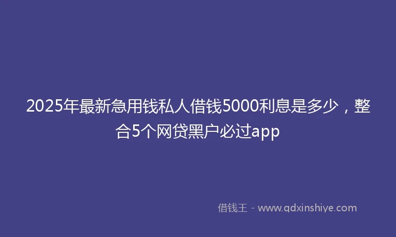 2025年最新急用钱私人借钱5000利息是多少，整合5个网贷黑户必过app