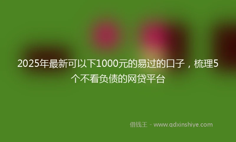 2025年最新可以下1000元的易过的口子，梳理5个不看负债的网贷平台