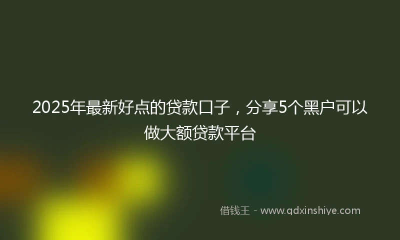 2025年最新好点的贷款口子，分享5个黑户可以做大额贷款平台