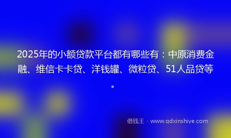 2025年的小额贷款平台都有哪些有：中原消费金融、维信卡卡贷、洋钱罐、微粒贷、51人品贷等。