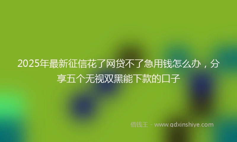 2025年最新征信花了网贷不了急用钱怎么办，分享五个无视双黑能下款的口子