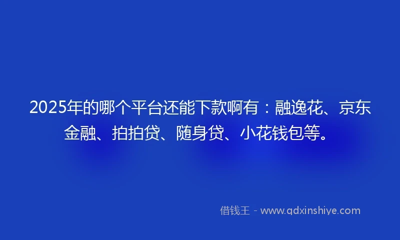 2025年的哪个平台还能下款啊有：融逸花、京东金融、拍拍贷、随身贷、小花钱包等。