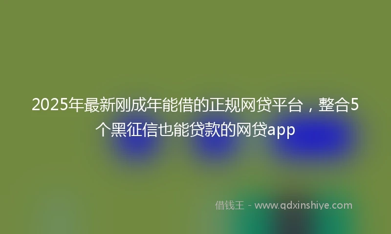 2025年最新刚成年能借的正规网贷平台，整合5个黑征信也能贷款的网贷app