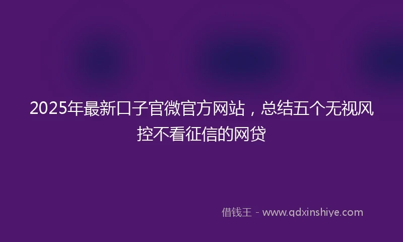 2025年最新口子官微官方网站，总结五个无视风控不看征信的网贷
